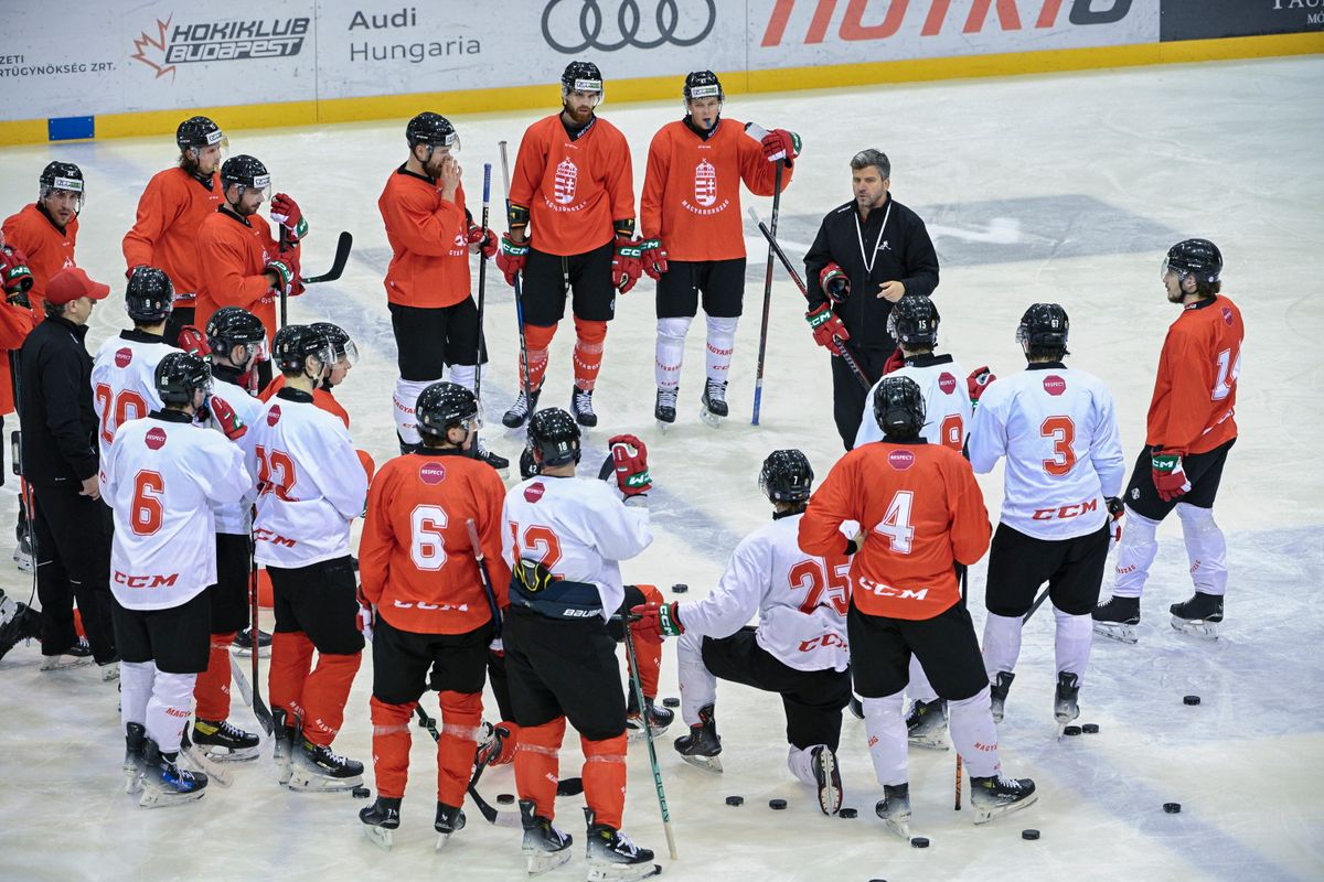 MAJOROSS Gergely és a válogatott