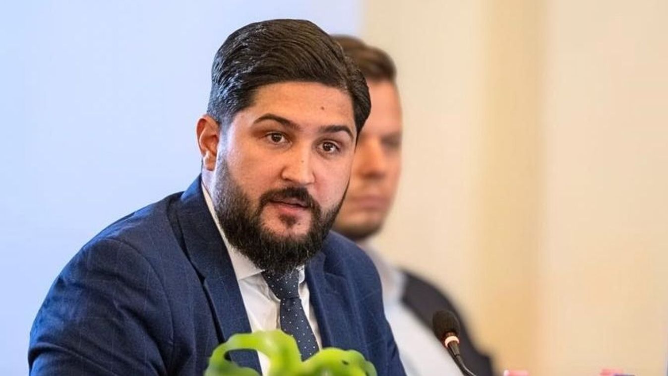 Radics Béla, fővárosi Fidesz