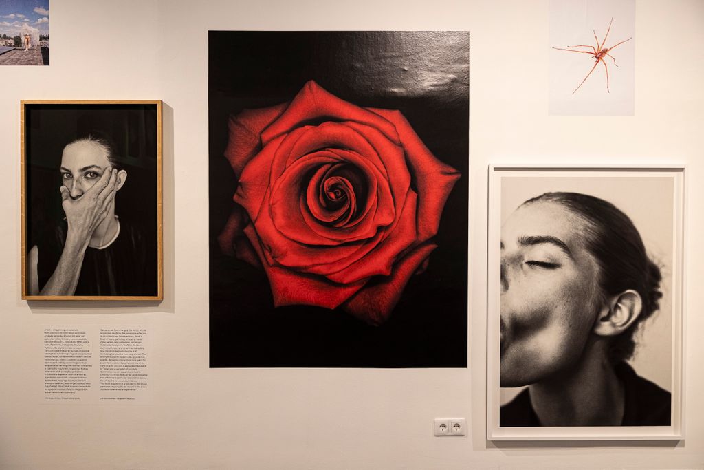 20251019 Budapest Tombor Zoltán Lost and found című kiállítása Capa központban fotó: Kállai Márton