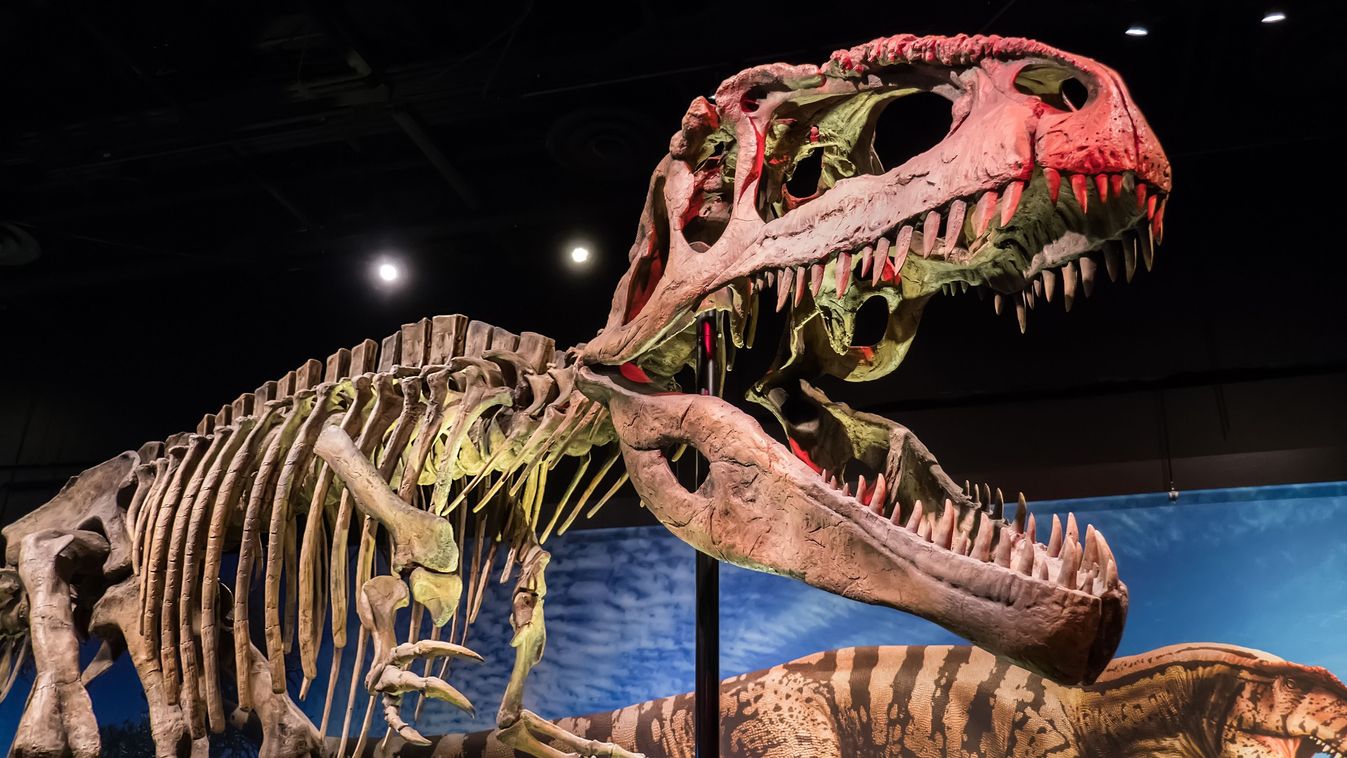 Rendkívül gazdag dinoszaurusz-lelőhelyet találtak Erdélyben