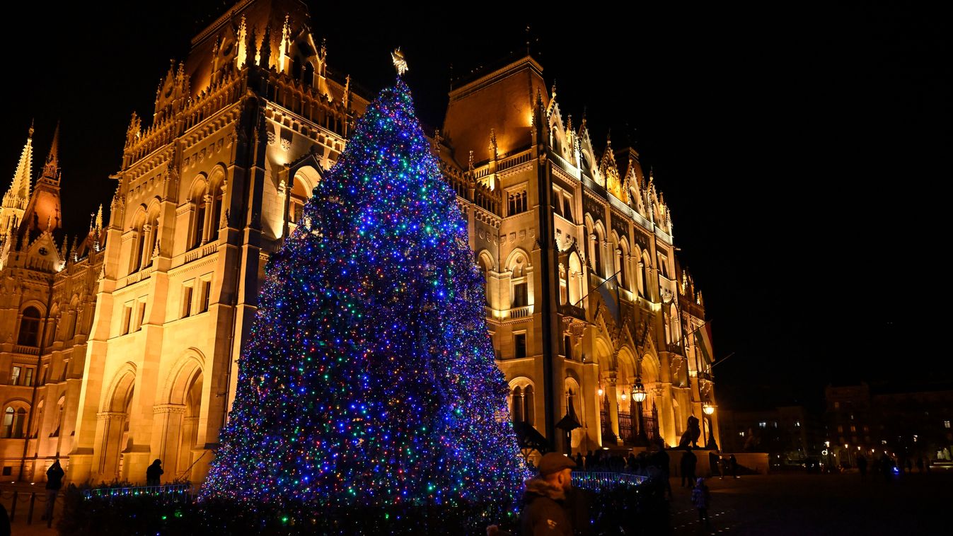 Nyírségi fenyőfa lesz az ország karácsonyfája
