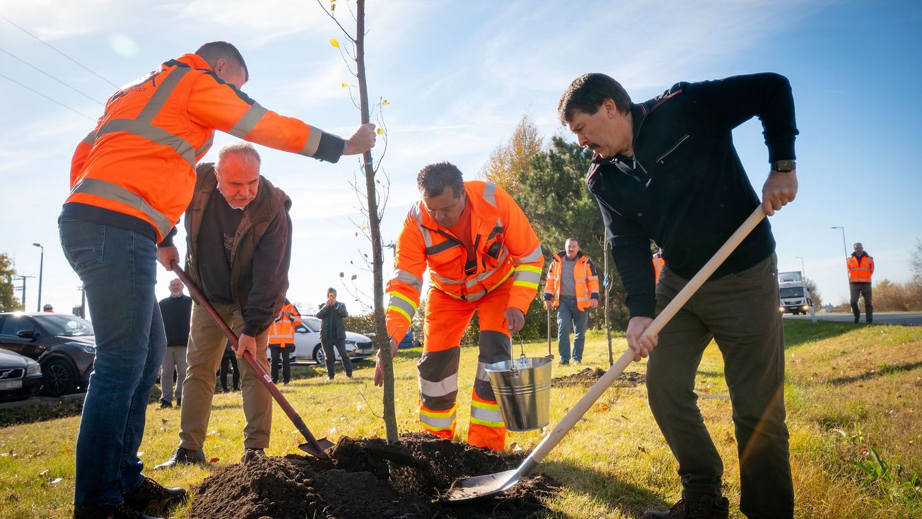 Utak mentén telepítenek
