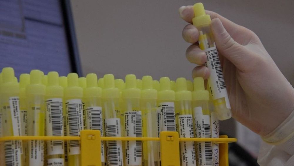 Vírusok: egyszerűek, gyorsan szaporodnak