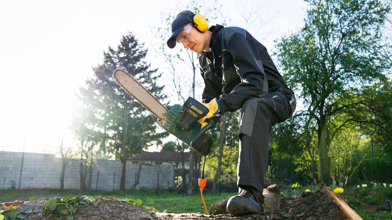 Lánc, lánc, láncfűrész