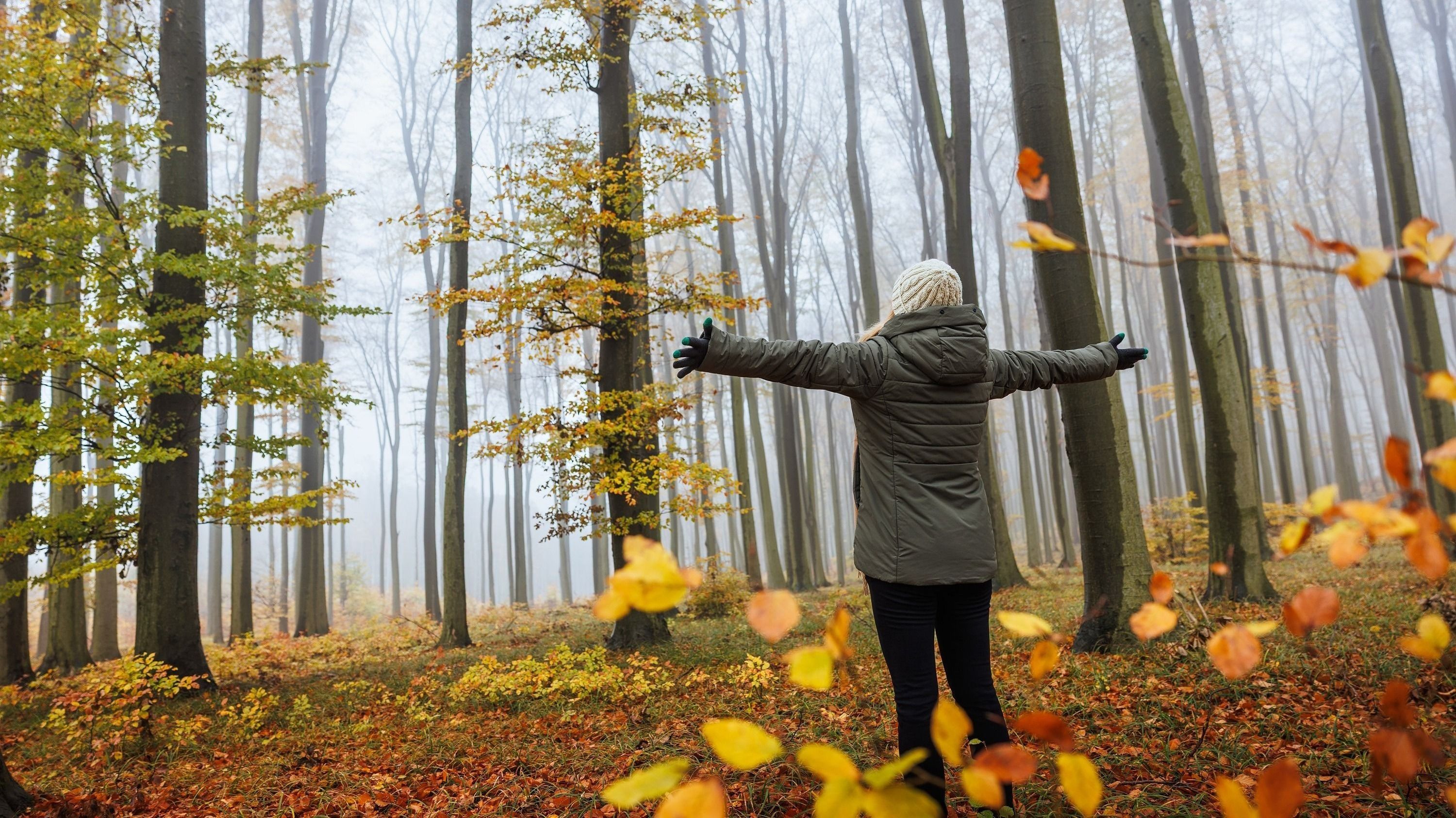 Látogatóbarát fejlesztések a gödi Nemeskéri Parkerdőben