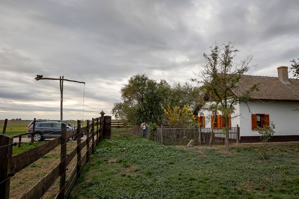 20251031 Karcag    Bene Sándor gazdálkodó, lótenyésztő, birkatartó, tanyán élő Fotó: Kállai Márton KM