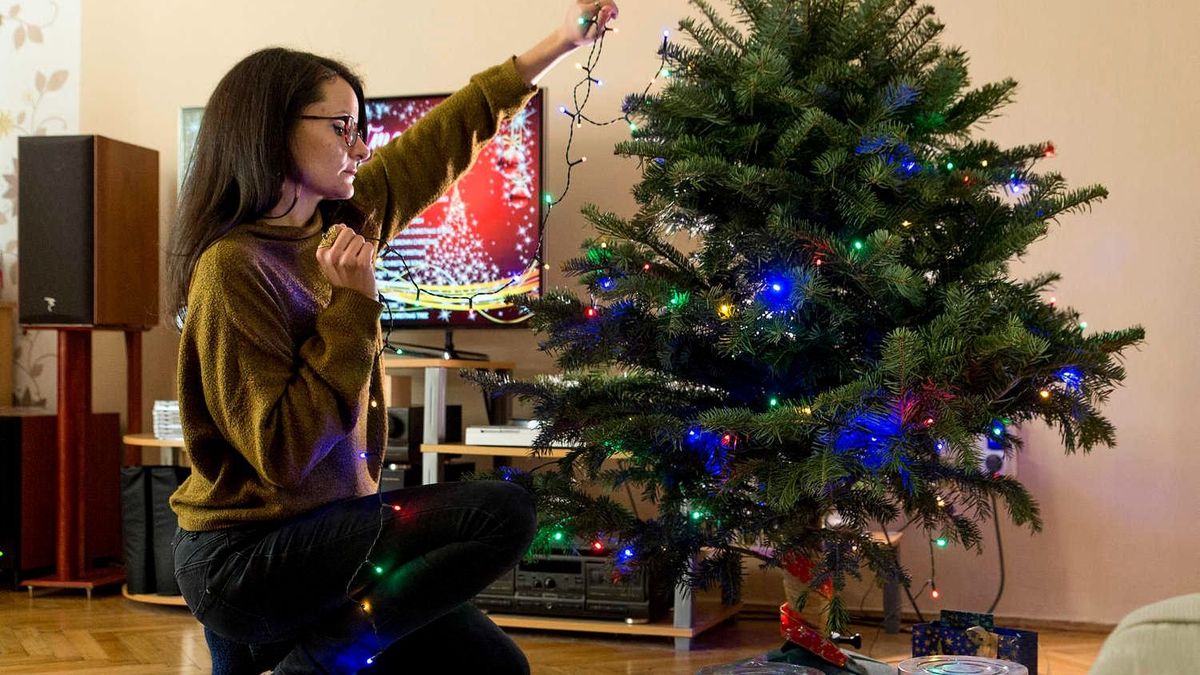 kiderült, lesz-e elég karácsonyfa az idei szárazság után, és hogy kell-e drágulásra számítani