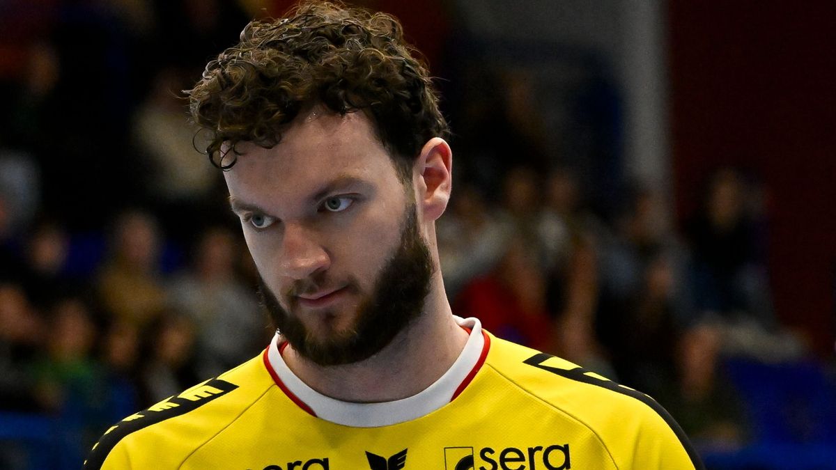 Ennél jobb hír nem kell az Európa-bajnokság előtt: egy magyarról szólt a karácsony Németországban