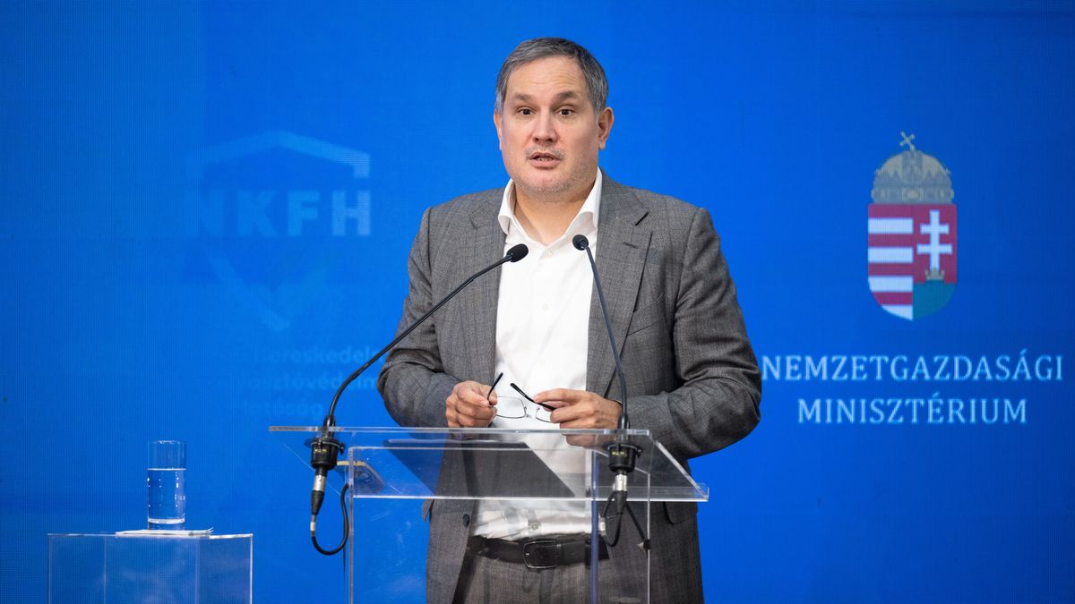 Egyetlen célunkról sem mondunk le – Nagy Márton a Mandinernek