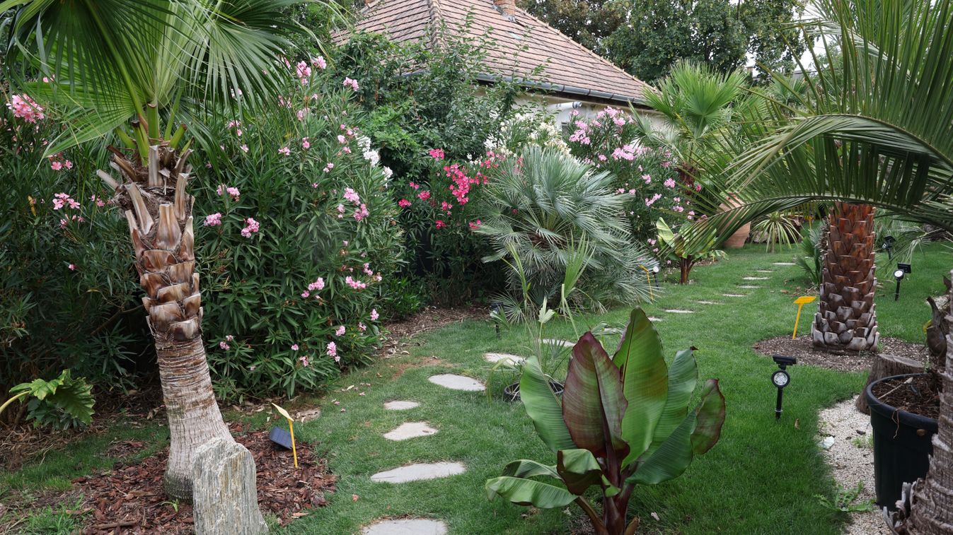 Mediterrán hangulatban