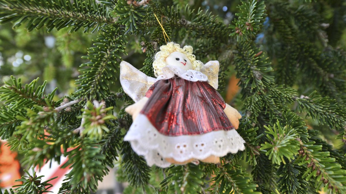 Veszélyben a karácsony: néhány év múlva luxussá válhat az ünnep legfontosabb szimbóluma