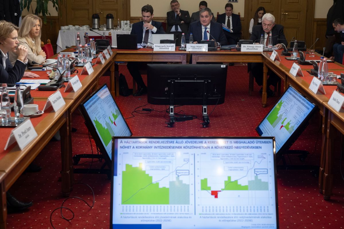 Nagy Márton nemzetgazdasági miniszter népjóléti bizottsági meghallgatása az Országházban (Fotó: MTI/Kocsis Zoltán) 