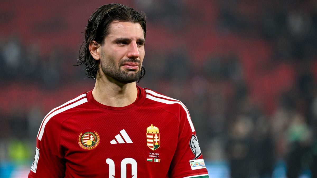 Egyesek szerint egy diplomáciai zűrzavar miatt akár mégis kijuthat a magyar válogatott világbajnokságra (Fotó: MTI/Hegedüs Róbert)