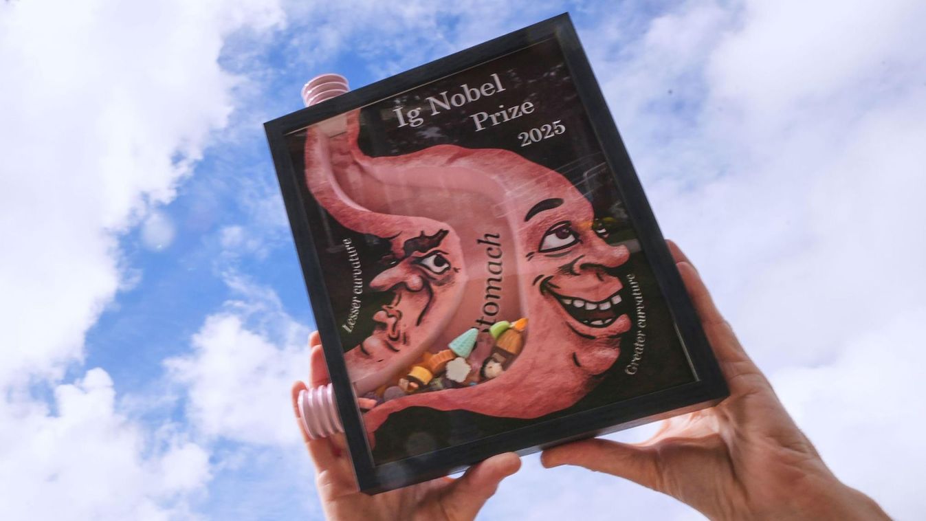 Nevetségesen zseniális kutatások