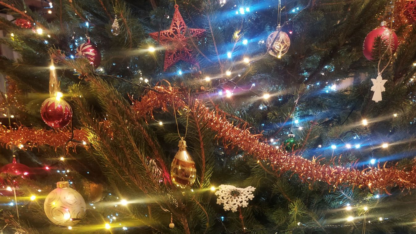 Zöld lett a mostani divat