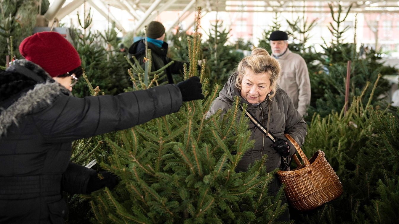A fenyőfát vásárlók többsége idén is hazai termelők termékeit díszítheti fel