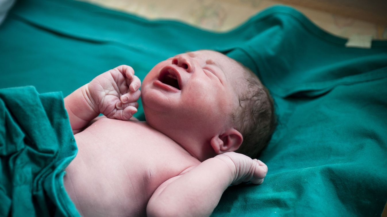 Veszélyes fertőzés terjed