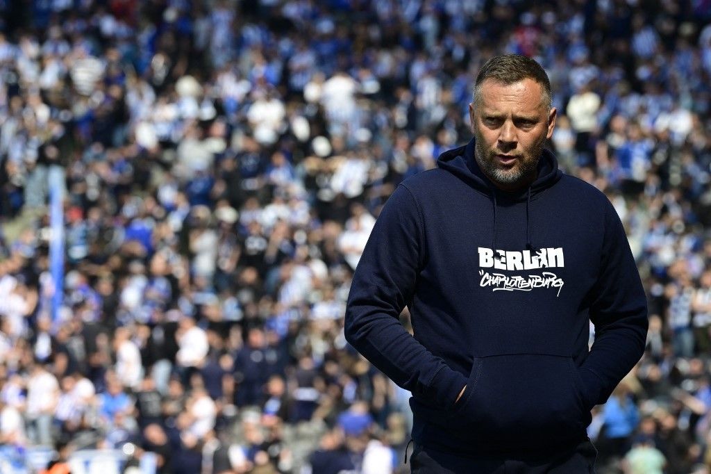 Dárdai Pál, Újpest FC, sportigazgató, Mol