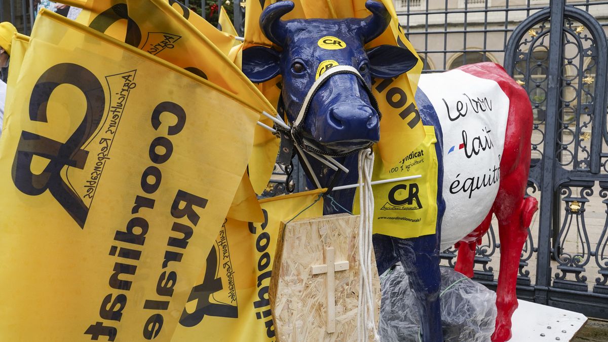 Brüsszel újabb stratégiai ágazatot áldozott be, elhúzódó válság körvonalazódik