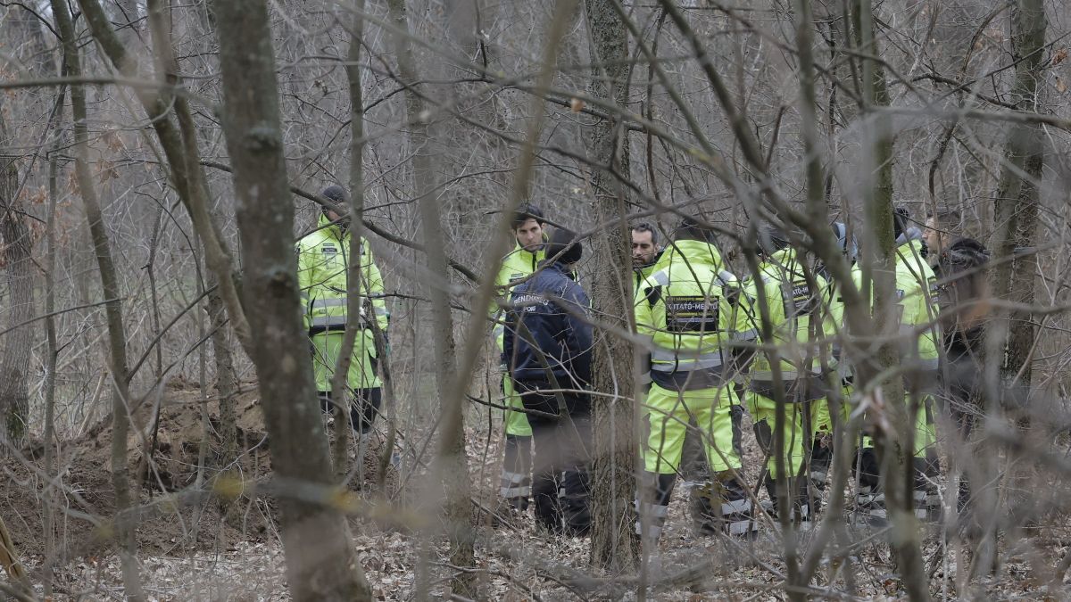 Nem mindennapi életmentés: a főerdésznek köszönheti életét egy 17 éves fiatal