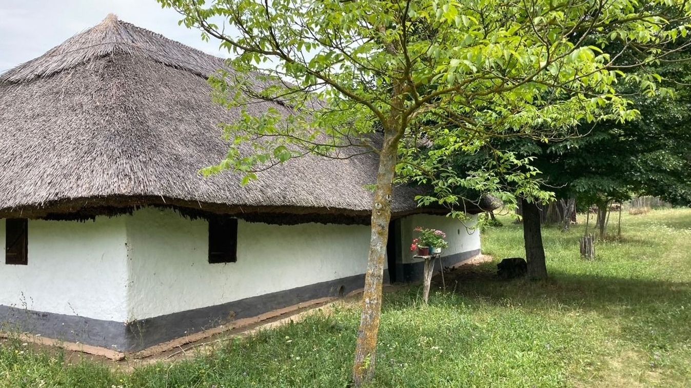 Szőlőhegyi szépség