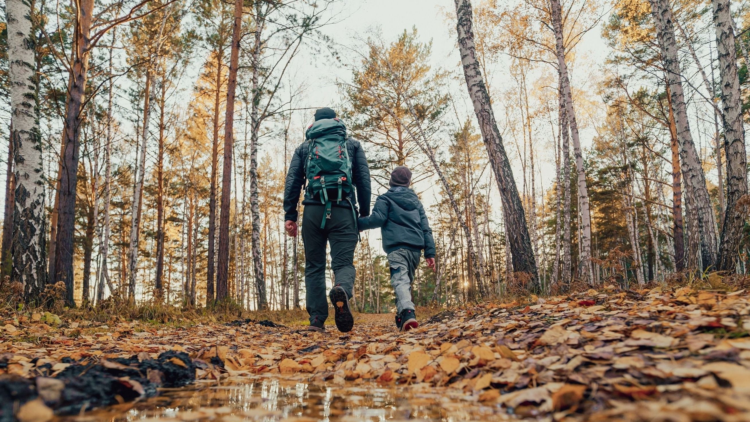 Kiemelten támogatja a kormány a nemzeti park igazgatóságokat (videó)