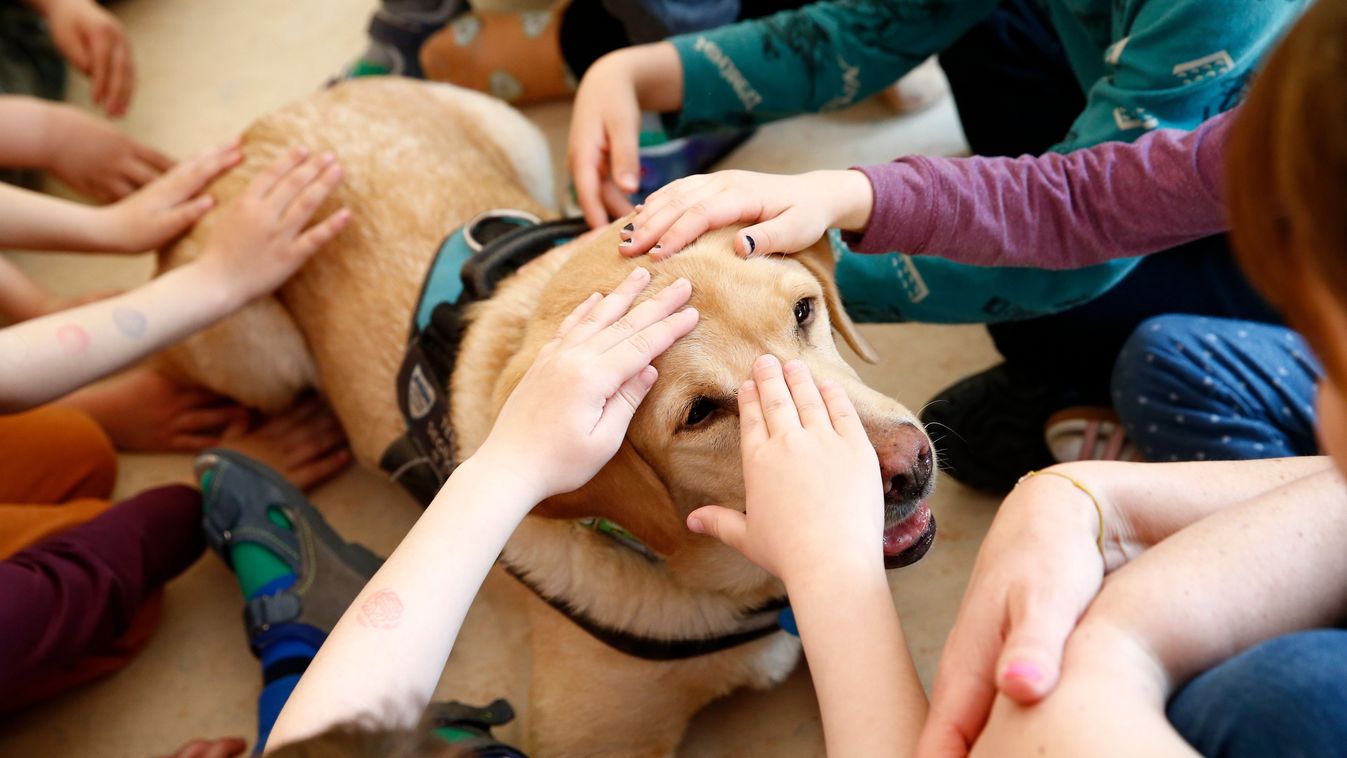 Hiánypótló ellátás