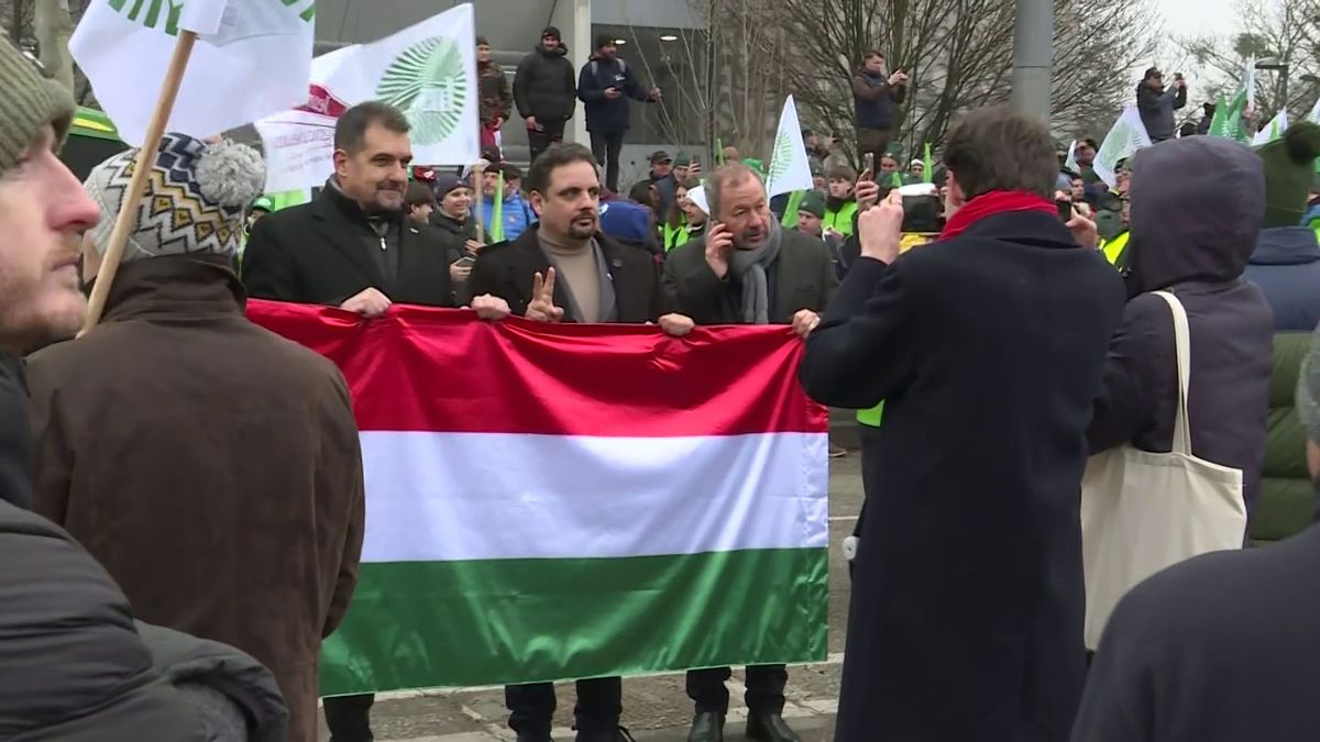 „Nehéz feladat Von der Leyen ellen küzdeni Von der Leyennel” – szakértő mondta ki a fájó igazságot Magyar Péterrel kapcsolatban „Nehéz feladat Von der Leyen ellen küzdeni Von der Leyennel” – szakértő mondta ki a fájó igazságot Magyar Péterrel kapcsolatban