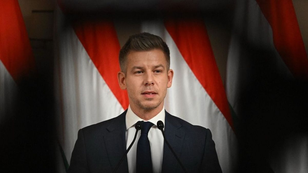 A figurának fénymásoló lehetett a jele oviban