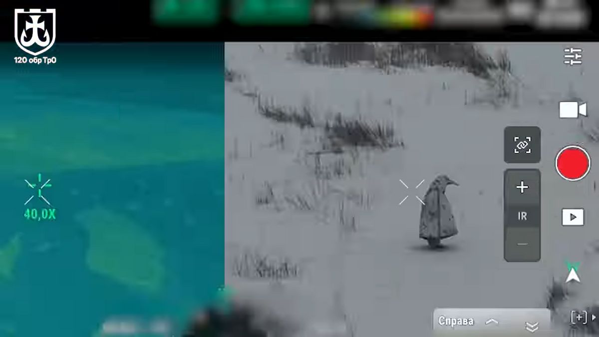 Ez durva: pingvinnek álcázott orosz katonát robbantottak fel az ukránok (VIDEÓ)