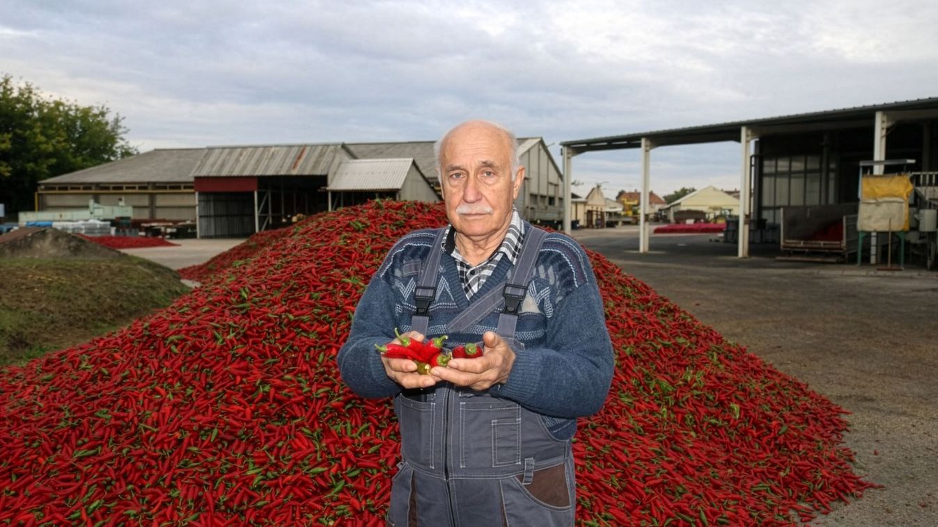 Vezérigazgató overallban