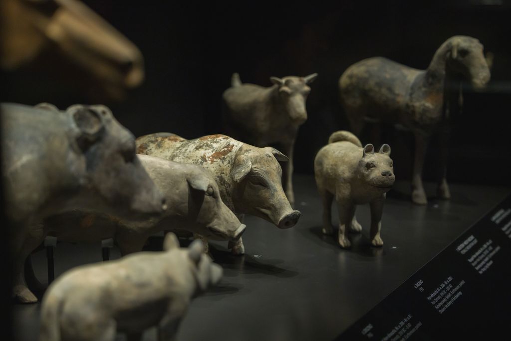 Az öröklét őrei - Az első kínai császár agyagkatonái kiállítás a Szépművészeti múzeumban
20251203 Budapest
fotó: Németh András Péter NAP