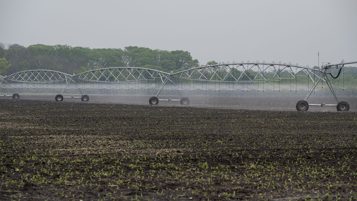 Régóta vártak erre a gazdák, sok problémát orvosol az igazi téli időjárás