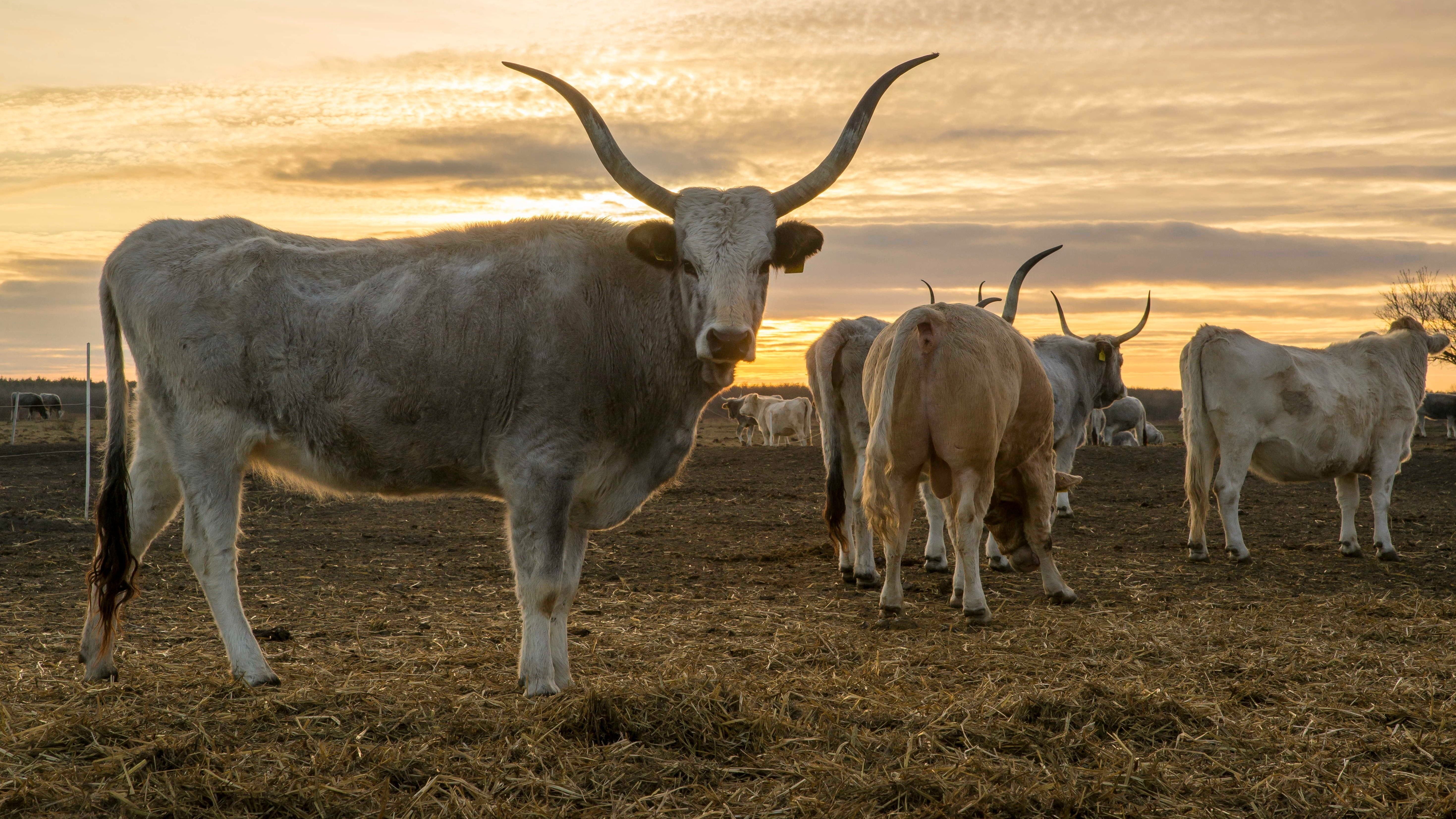 Január 1-től csökkennek a gazdák adó- és adminisztrációs terhei