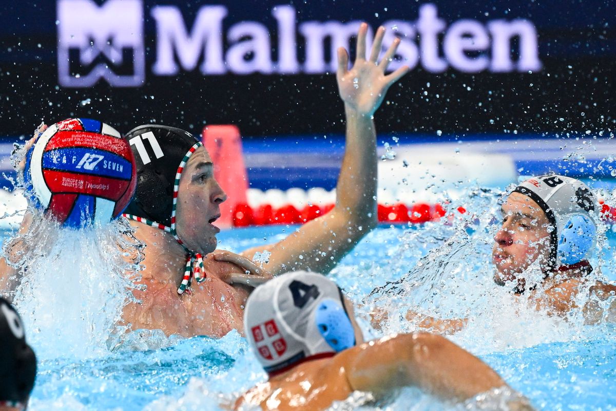 JANSIK Szilárd Magyar-szerb