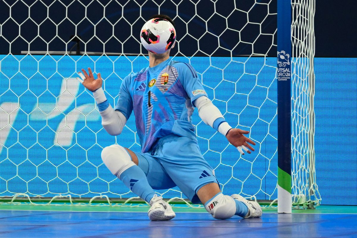 ALASZTICS Marcell portugál-magyar