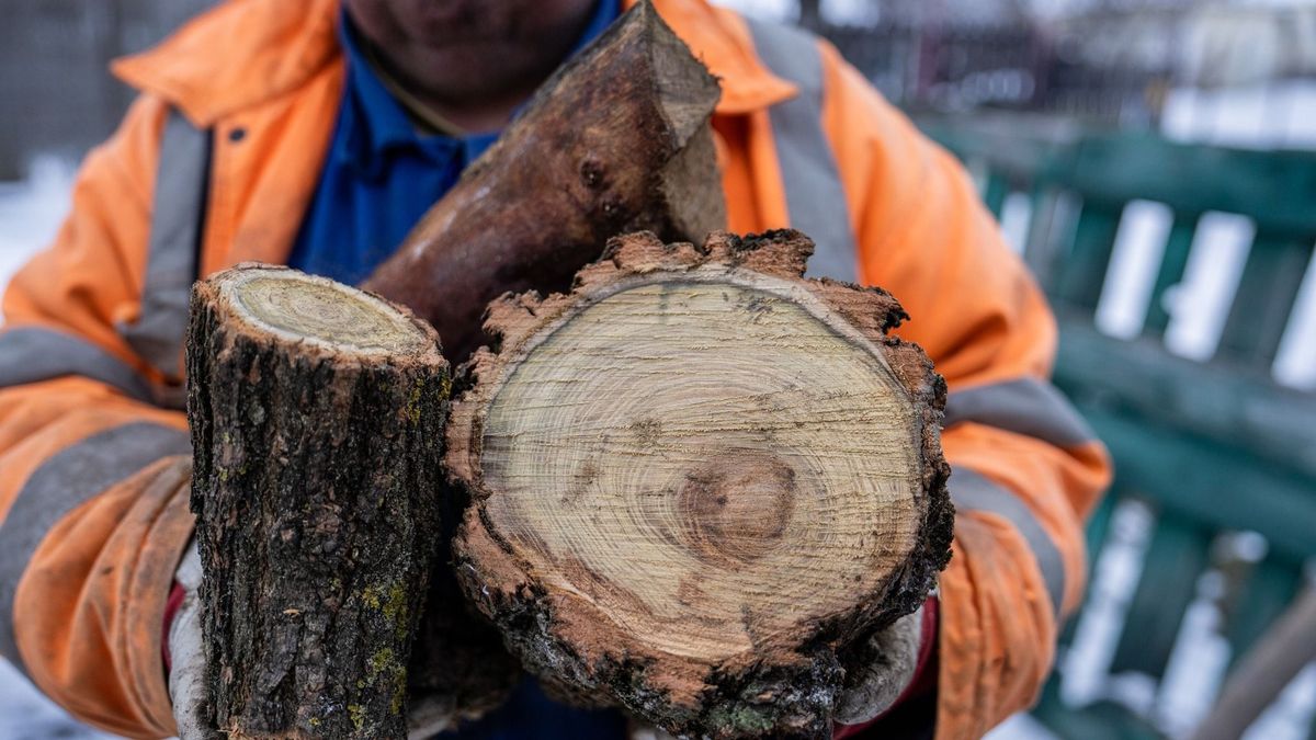 A fával fűtők is részesülnek az energiaár-kompenzációból