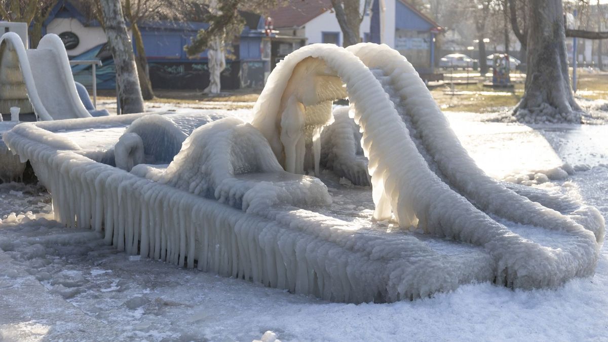 Az alkotótárs Kraszna­horkai irodalmi Nobel-díjat kap, Tarr Béla elmegy, elszáll – különös ez a világ