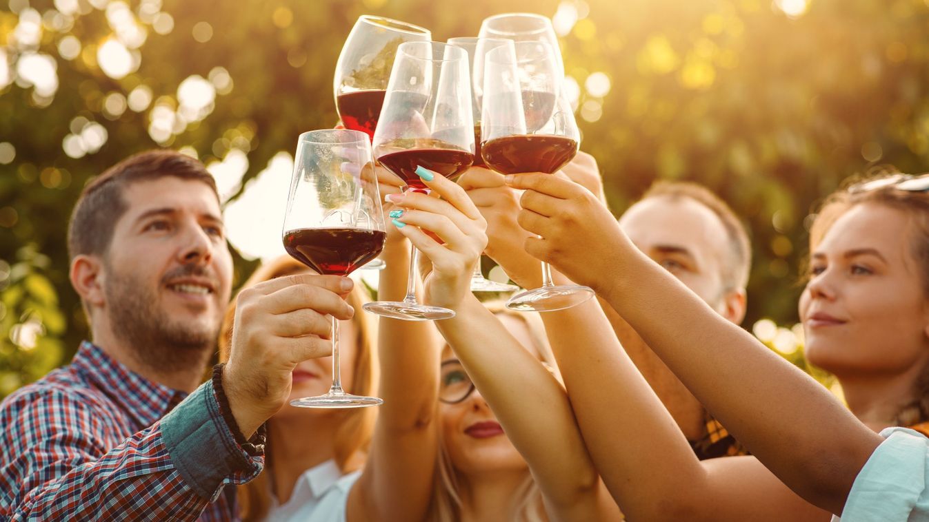 Célzott támogatásokkal segíti a kormány a szőlő- borágazatot