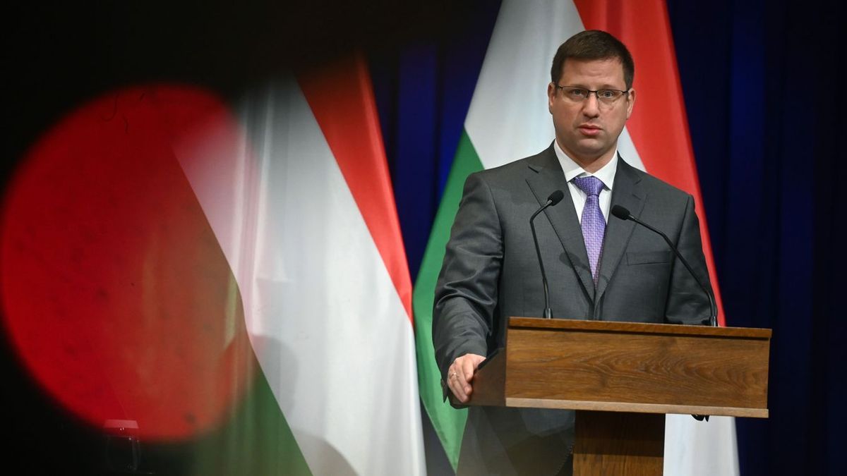 Gulyás Gergely ismét szembesített egy Soros-szervezetet a valósággal (VIDEÓ)