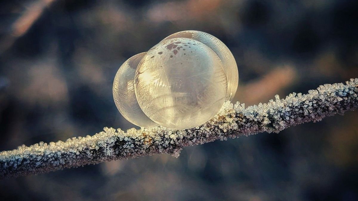 Figyelmeztetnek a meteorológusok: szétszakadhat a polar vortex, így folytatódhat a tél