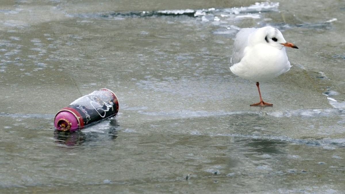 Hátborzongató jelenet: két lány alatt beszakadt a jég az Ipolyon
