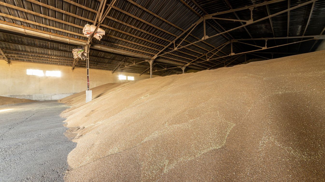 Fordított ármozgások