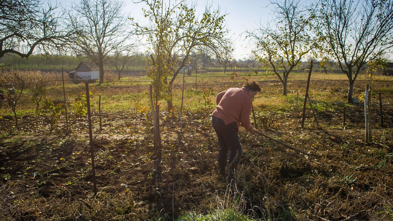 Gondolati kertészkedés