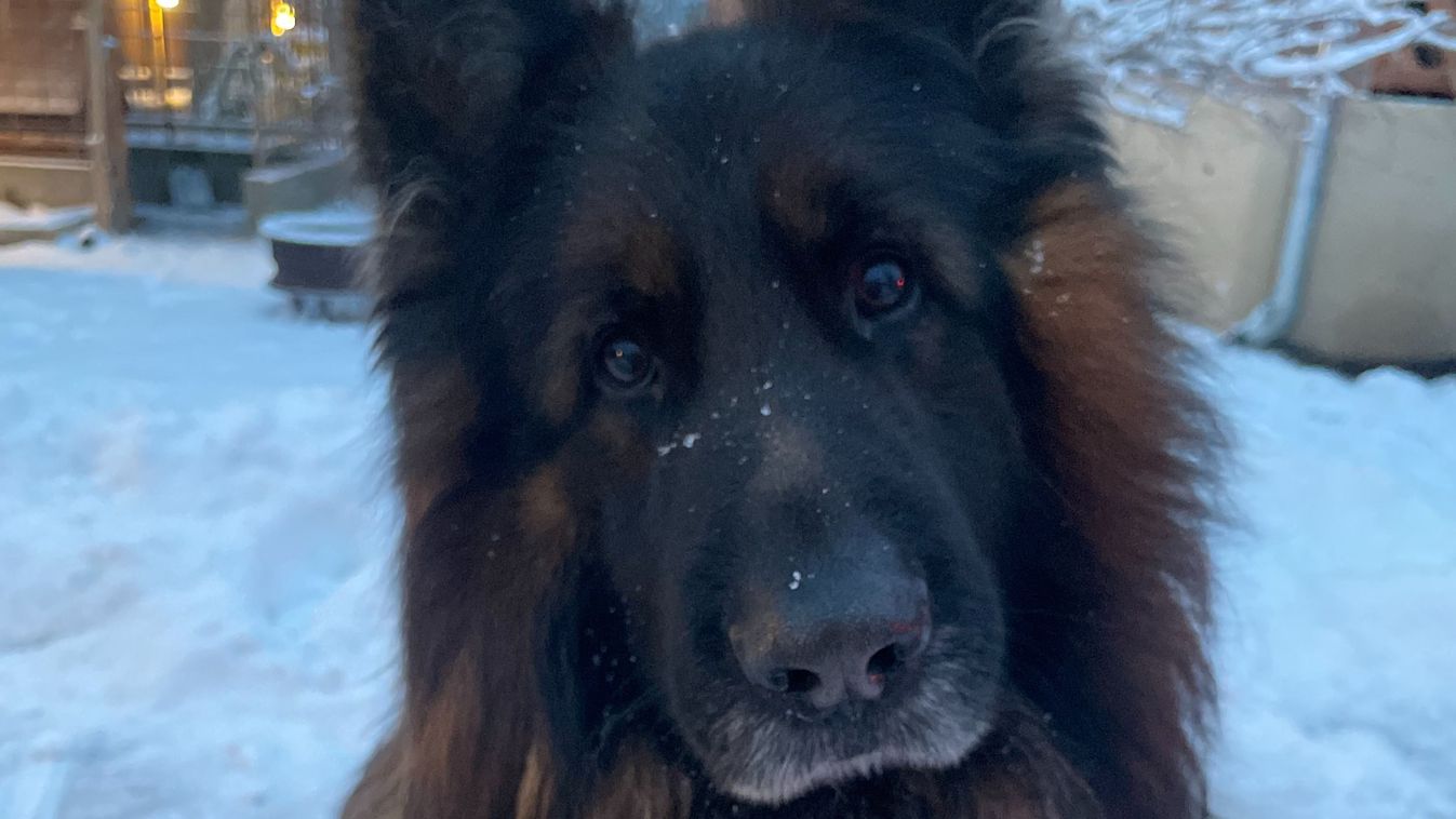 Szeretetteljes szelídséggel