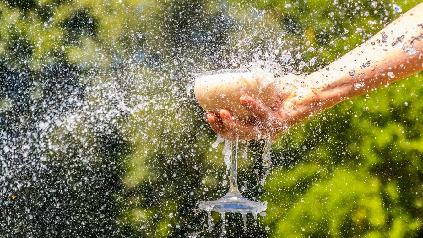 Megízlelni a természetet