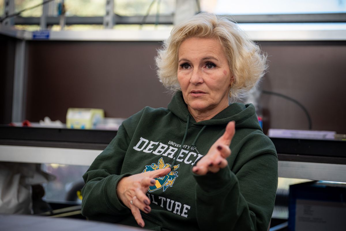 Űrpaprika – A Debreceni Egyetemen már 2018 környékén elindult a DE Space program, amelynek egyik eleme a növényekkel kapcsolatos űrkutatás volt – mondta el Veres Szilvia egyetemi tanár, a Vitapric programvezetője.