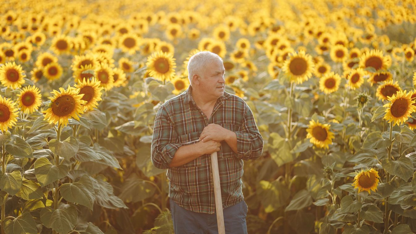 Fiatal kontra nyugdíjas
