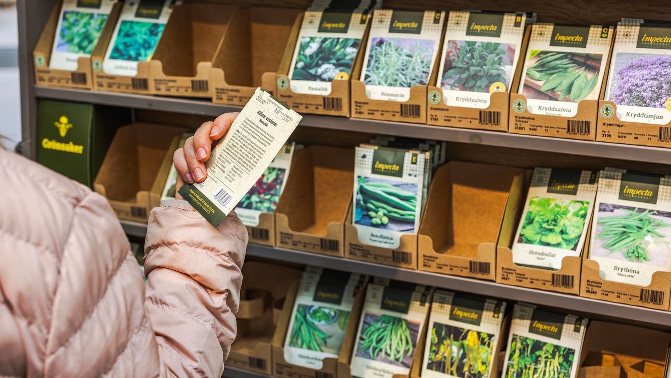 Mit rejt a vetőmagosdoboz?