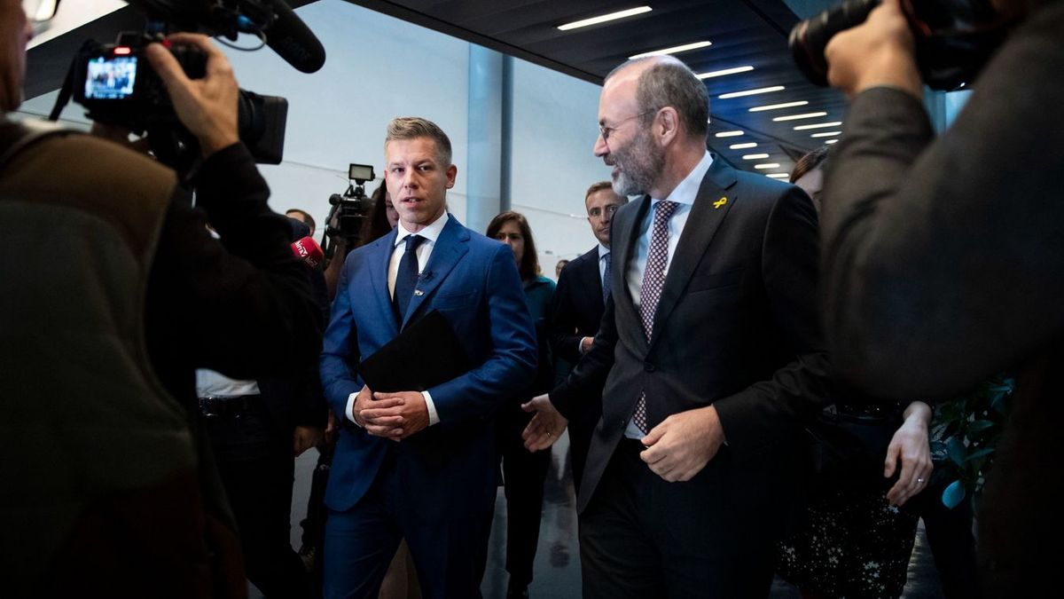 Magyar Péter Ukrajna uniós csatlakozása ügyében is hazudik (VIDEÓ)